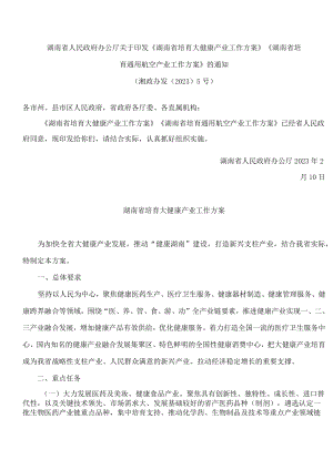 湖南省人民政府办公厅关于印发《湖南省培育大健康产业工作方案》《湖南省培育通用航空产业工作方案》的通知.docx