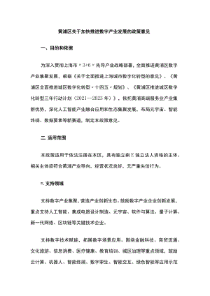 黄浦区关于加快推进数字产业发展的政策意见.docx