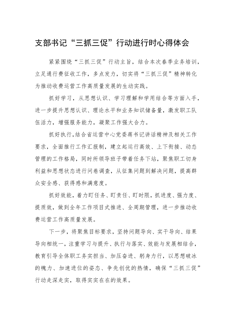 支部书记“三抓三促”行动进行时心得体会.docx_第1页