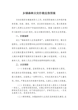 乡镇森林火灾扑救应急预案.docx