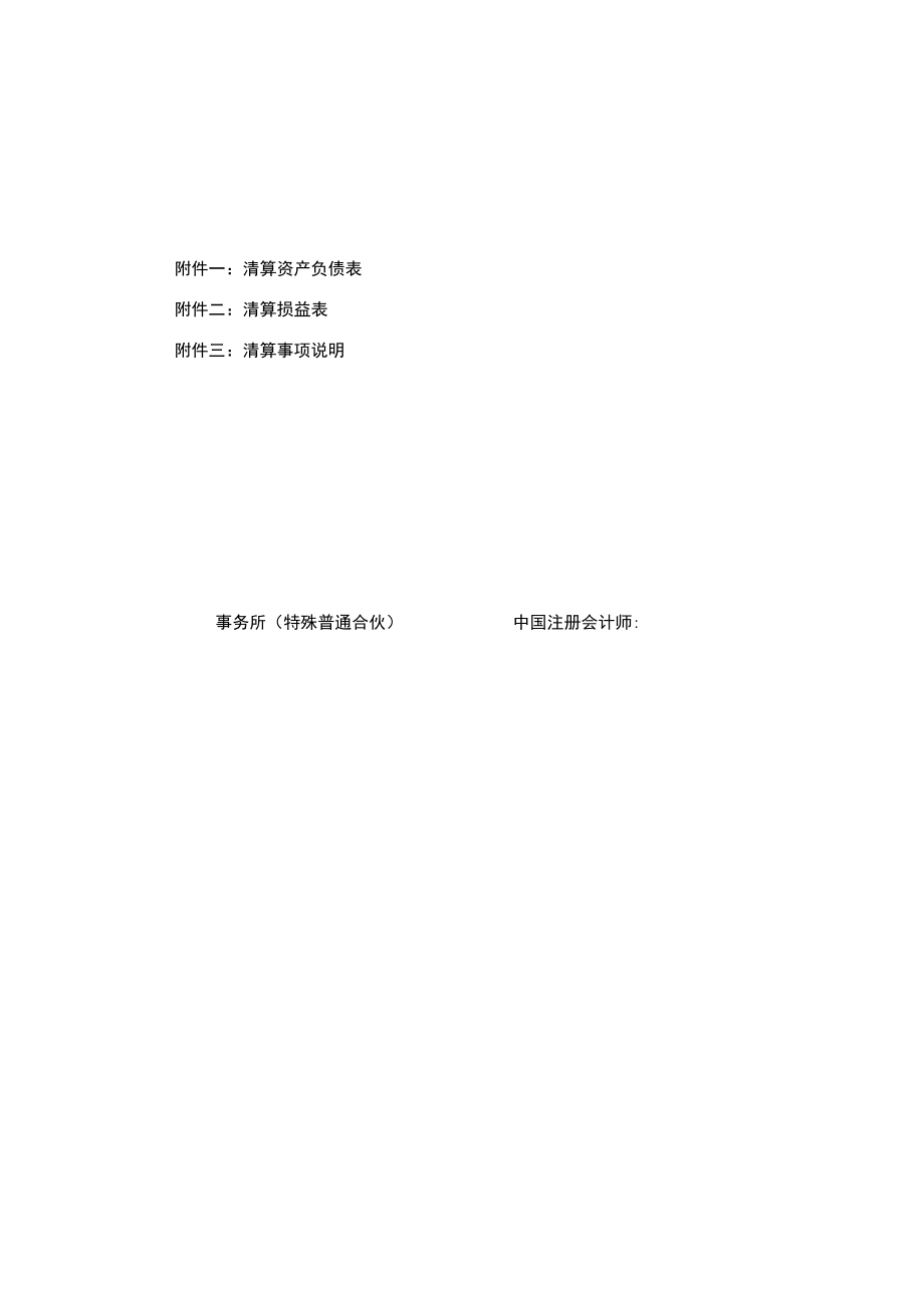 公司清算报告模板.docx_第2页