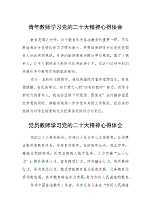 青年教师学习党的二十大精神心得体会三篇合集.docx