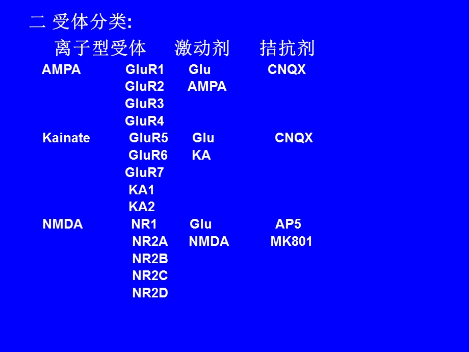 谷氨酸受体神经生物学.ppt_第2页