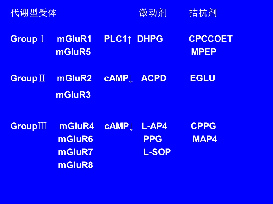 谷氨酸受体神经生物学.ppt_第3页