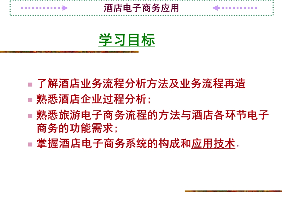 酒店电子商务应用.ppt_第2页