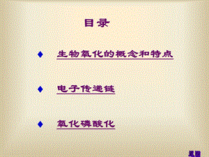 四川农业大学生物化学考研854考研生物氧化.ppt