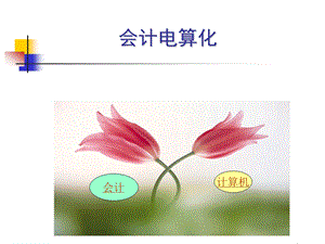 《会计电算化》引言.ppt