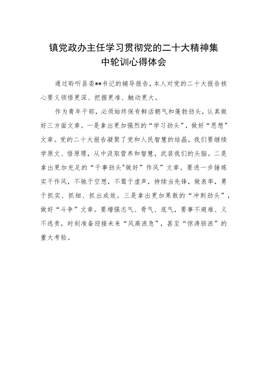 镇党政办主任学习贯彻党的二十大精神集中轮训心得体会.docx_第1页