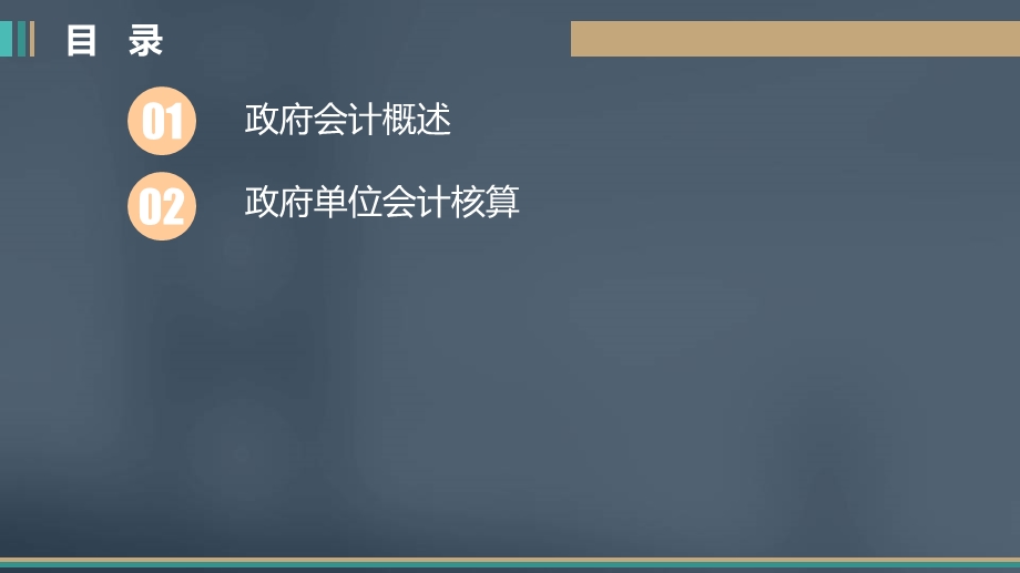 初级会计实务政府会计基础.ppt_第2页