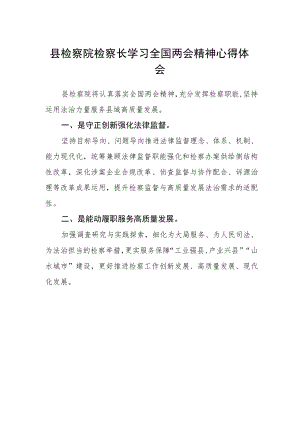 县检察院检察长学习全国两会精神心得体会.docx