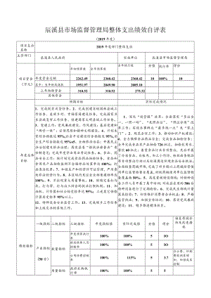 辰溪县市场监督管理局整体支出绩效自评表.docx