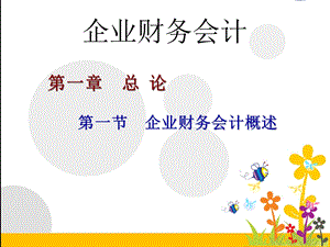 企业财务会计概述.ppt