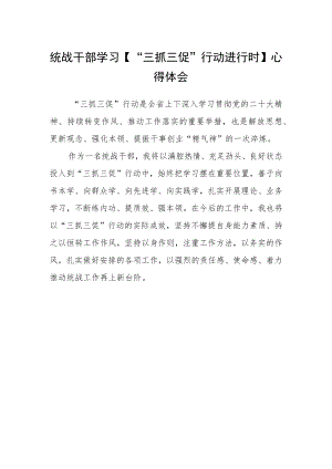 统战干部学习【“三抓三促”行动进行时】心得体会.docx