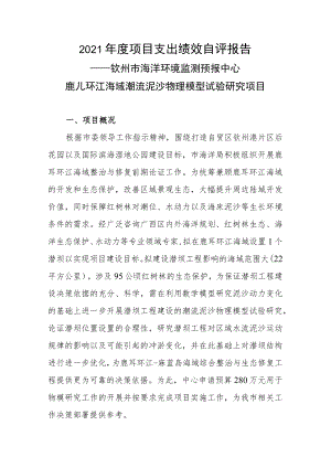 2021年度项目支出绩效自评报告.docx