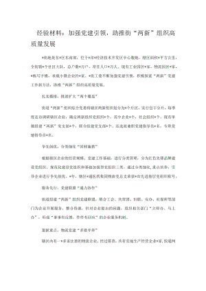 经验材料：加强党建引领助推街“两新”组织高质量发展.docx