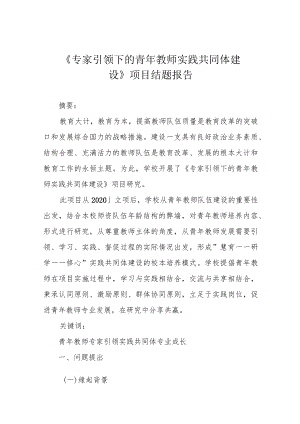 《专家引领下的青年教师实践共同体建设》项目结题报告.docx