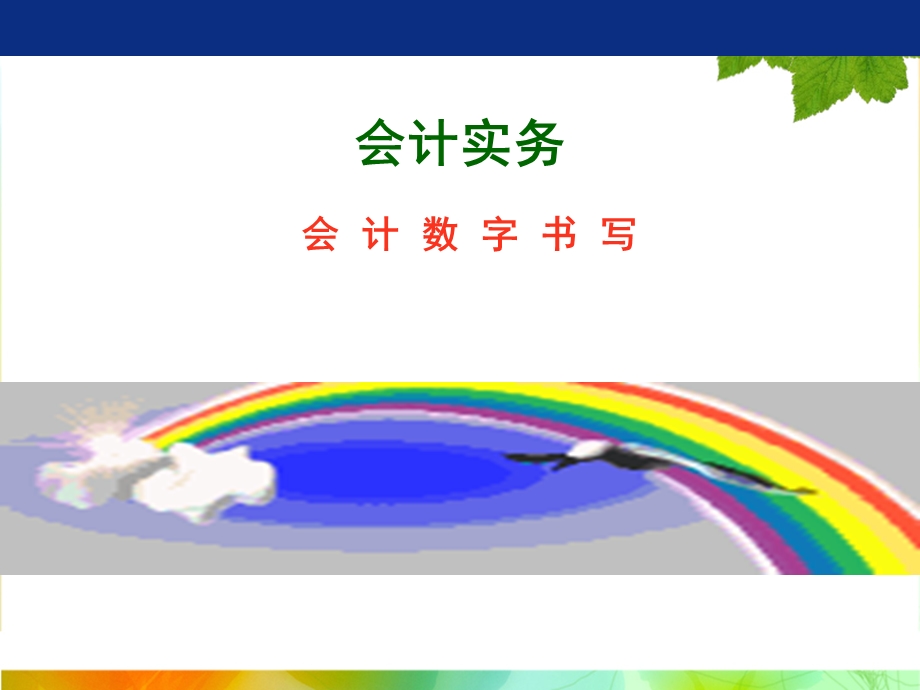 单招会计实务会计书写规范.ppt_第1页