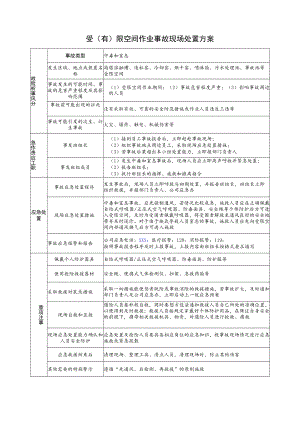 2023特殊作业现场处置方案《受（有）限空间作业事故现场处置方案》.docx