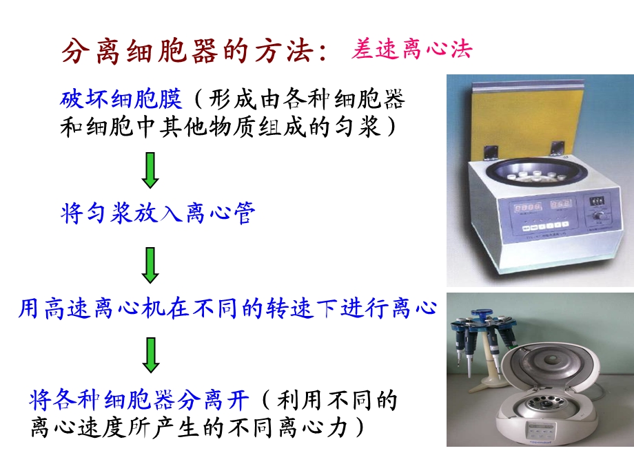 第二节细胞器精品教育.ppt_第3页