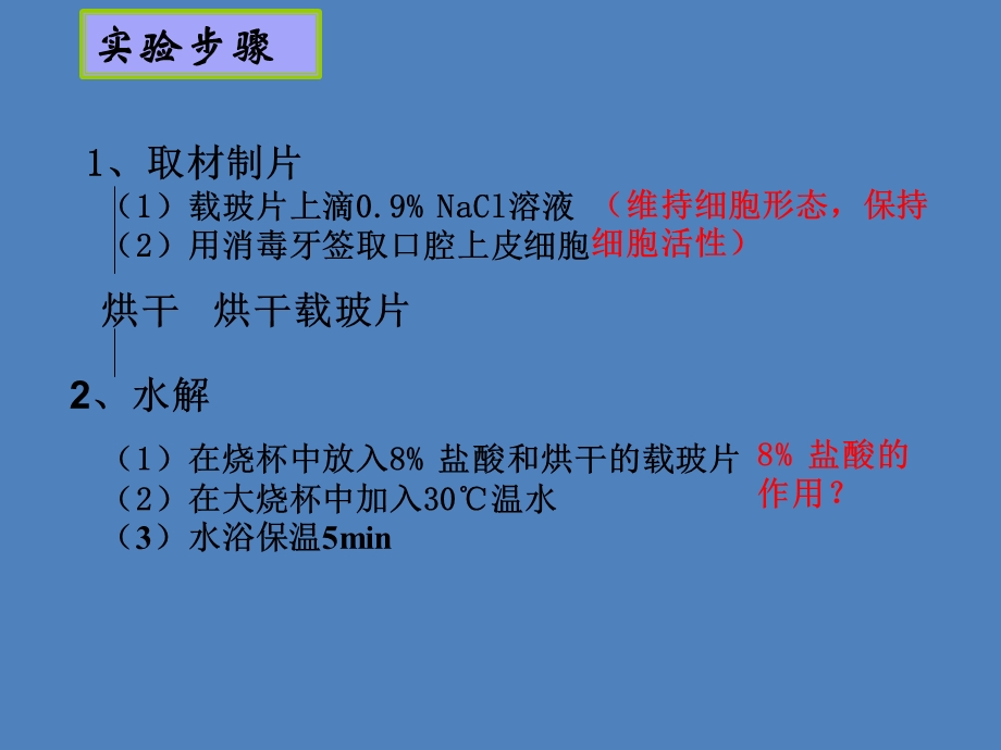 第三节遗传信息的携带者——核酸精品教育.ppt_第3页