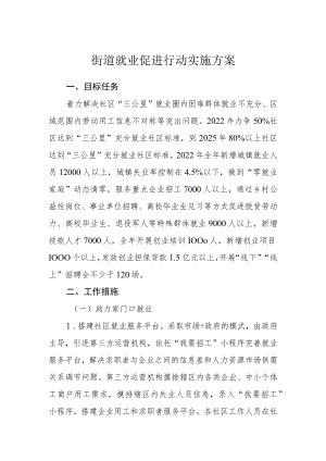 街道就业促进行动实施方案.docx