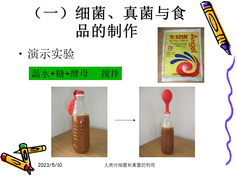 第五节人类对细菌和真菌的利用.ppt精品教育.ppt_第3页