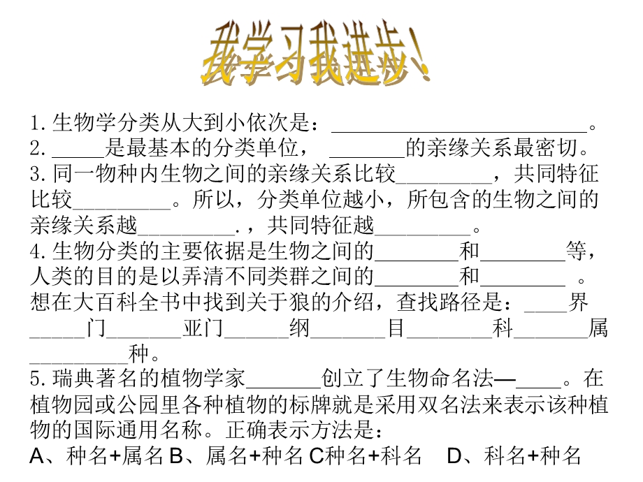 第二节从种到界精品教育.ppt_第3页