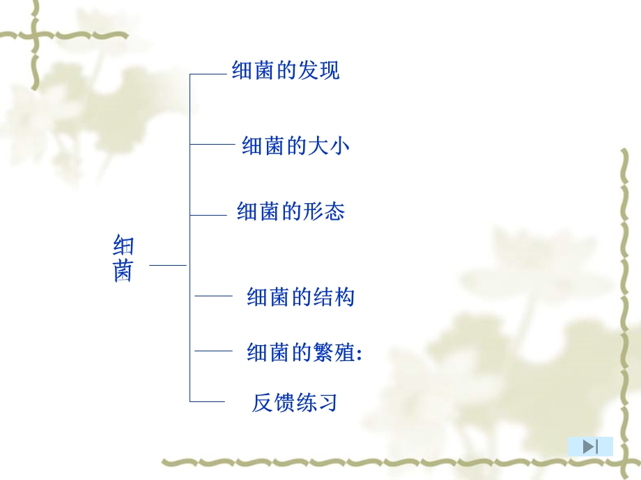 第二节细菌 精品教育.ppt_第2页