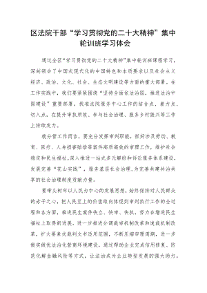 区法院干部“学习贯彻党的二十大精神”集中轮训班学习体会.docx