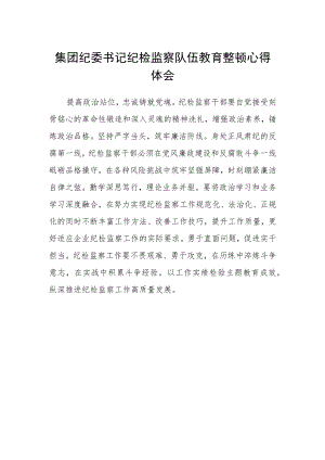 集团纪委书记纪检监察队伍教育整顿心得体会.docx