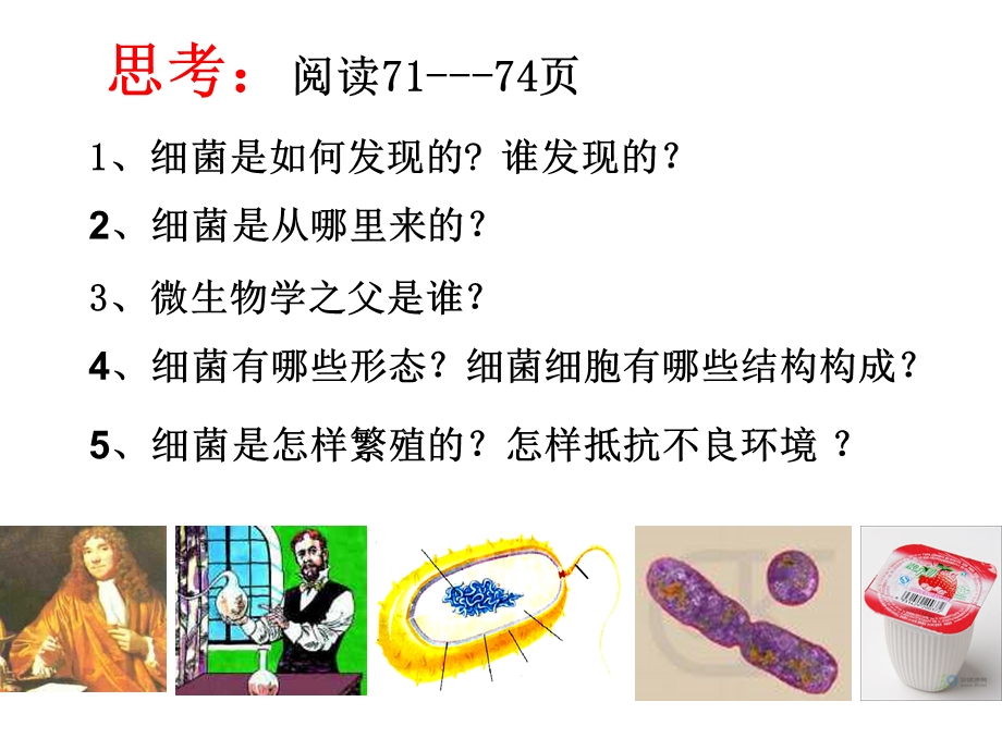 第二节细菌富源县第六中学侯汝翠精品教育.ppt_第3页