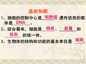 第二章第一节节细胞通过分裂产生新细胞精品教育.ppt