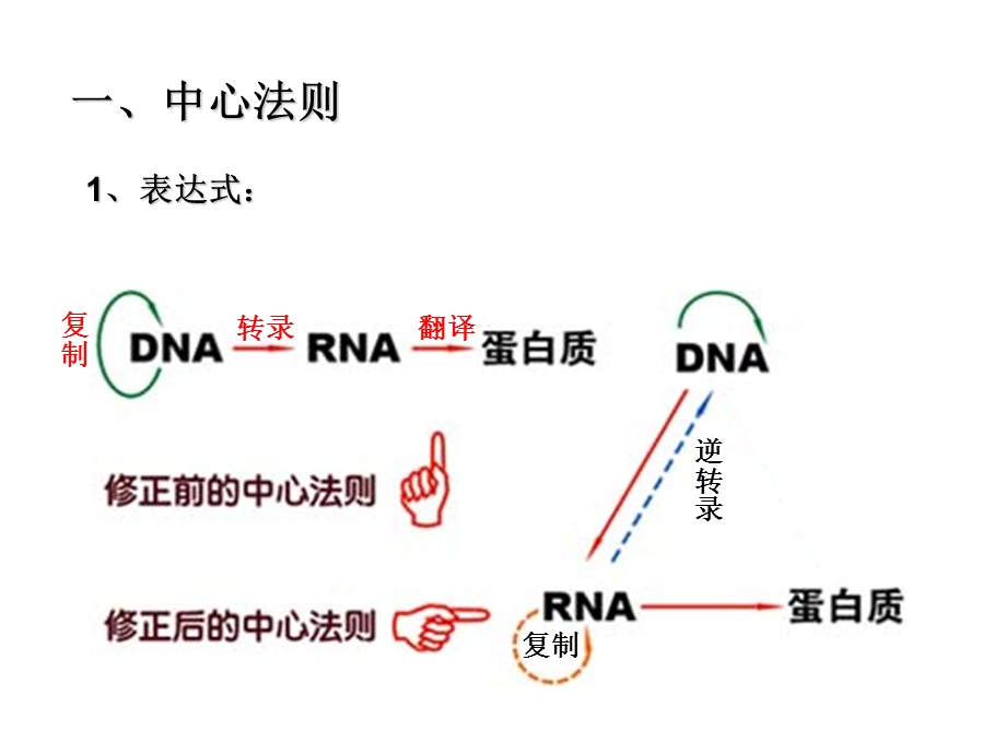 第二节基因对性状的控制精品教育.ppt_第2页