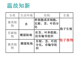 第二节种子植物 精品教育.ppt