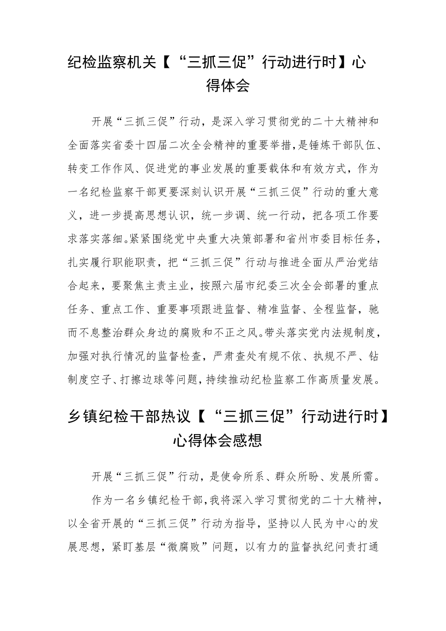 纪检监察机关【“三抓三促”行动进行时】心得体会3三篇通用范文.docx_第3页