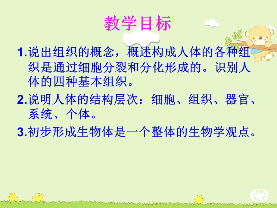 第二章第二节动物体的结构层次精品教育.ppt_第3页