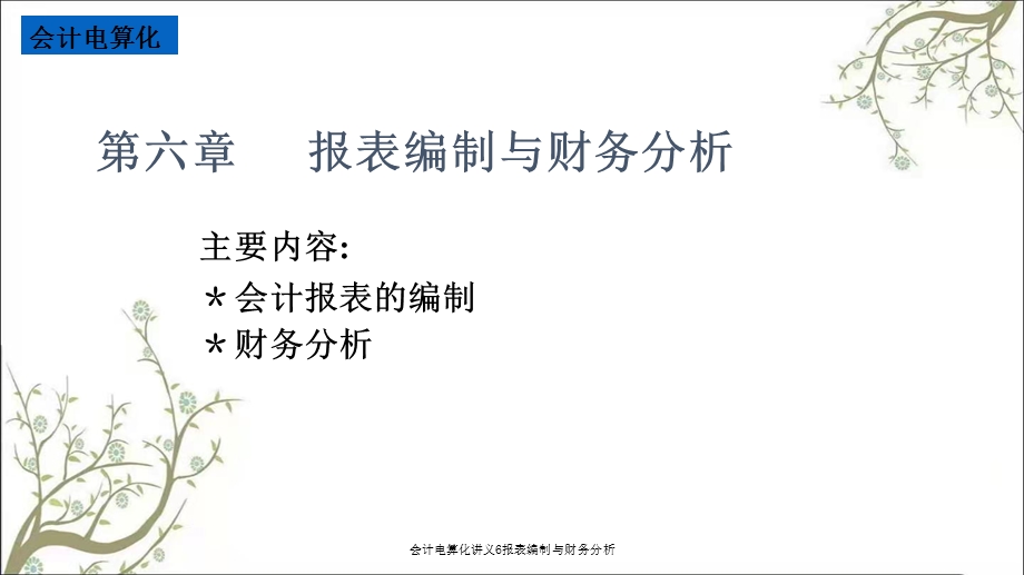 会计电算化讲义6报表编制与财务分析课件.ppt_第1页