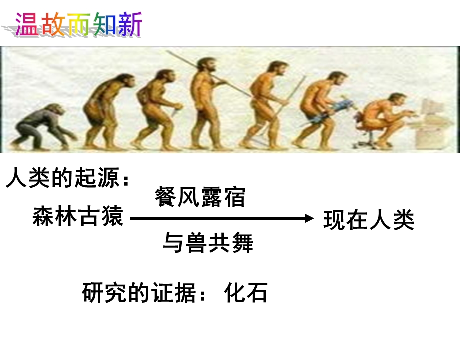 １０第一节　地球上生命的起源精品教育.ppt_第3页