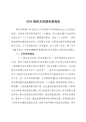 XX机关党建自查报告0113.docx