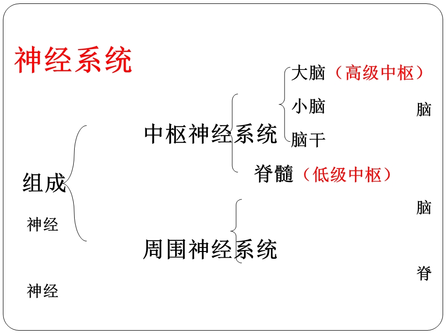 神经调节的基本方式.ppt.ppt_第2页