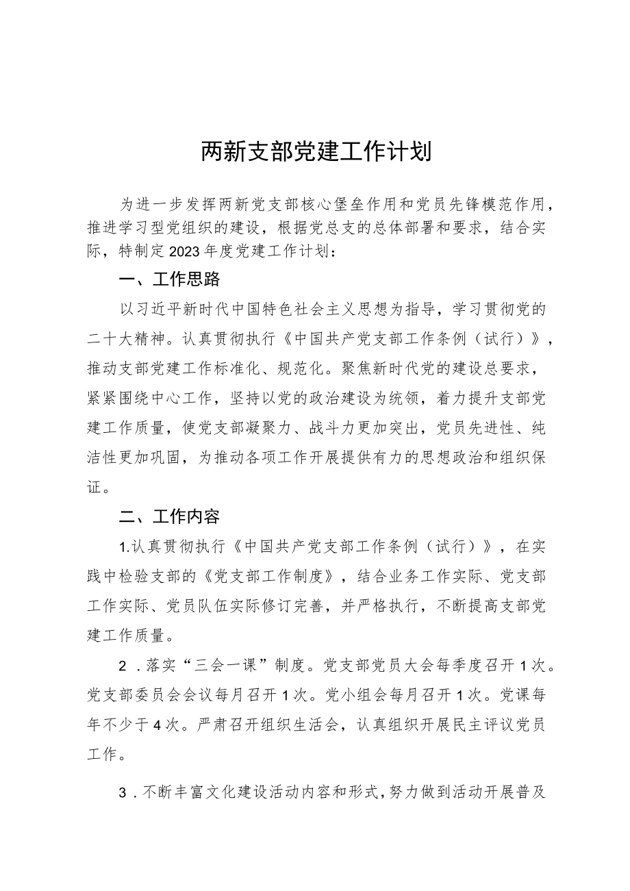 两新支部党建工作计划.docx_第1页