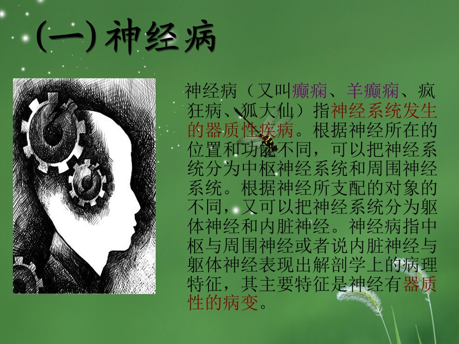 神经病or精神病.ppt_第3页