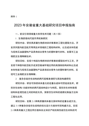 2023年度安徽省重大基础研究项目申报指南、申报模板.docx