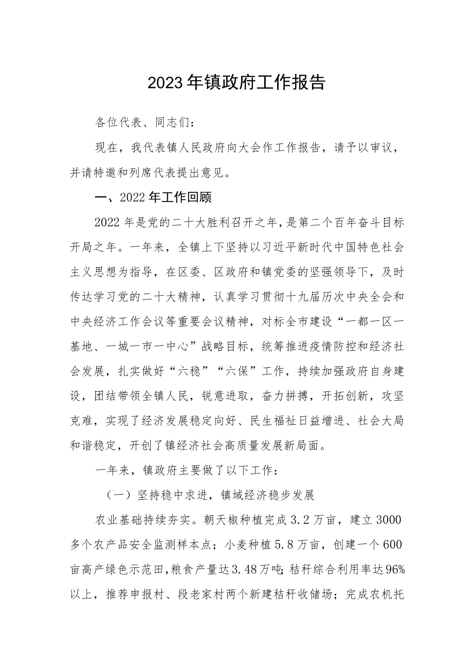 2023年镇政府工作报告.docx_第1页