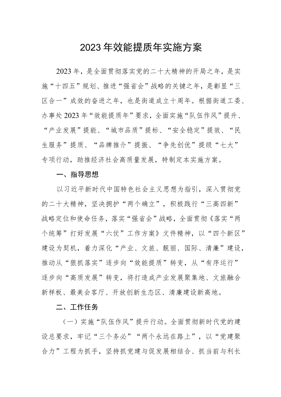 2023年效能提质年实施方案.docx_第1页