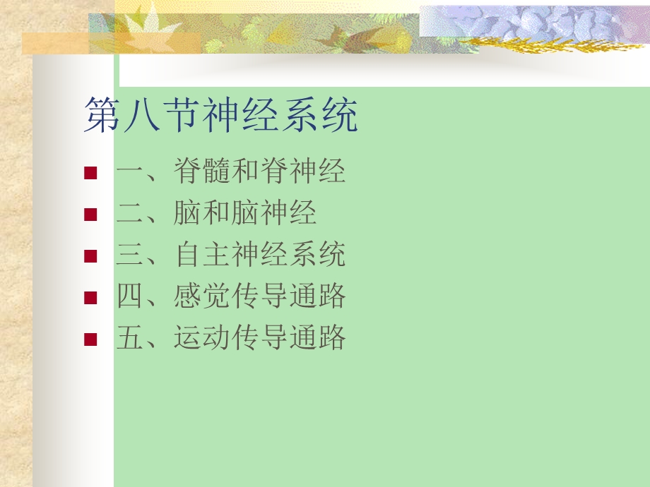 神经系统解剖学.ppt_第1页