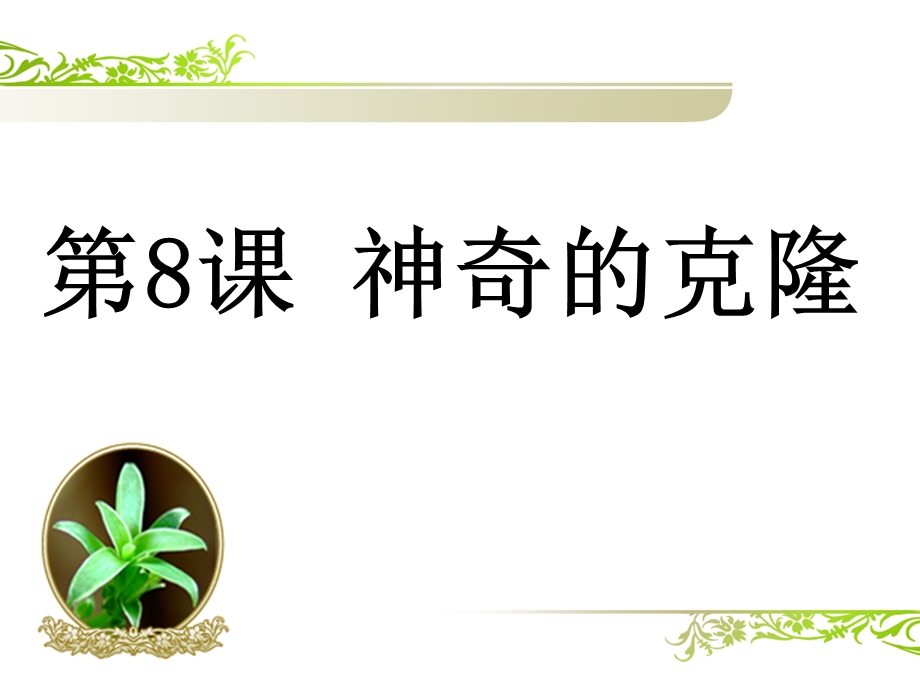 神奇的克隆第二课时课件.ppt_第1页