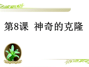 神奇的克隆第二课时课件.ppt