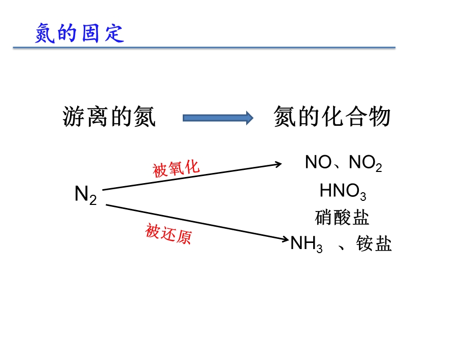 课件—氮的固定精品教育.ppt_第3页