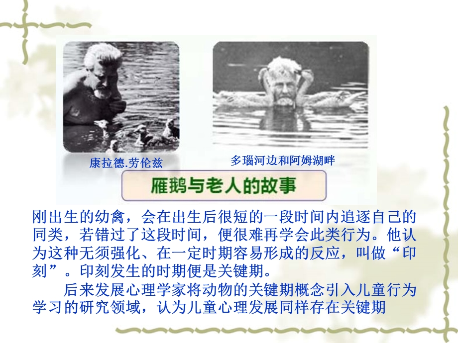 神经行为学检测方法.ppt_第2页